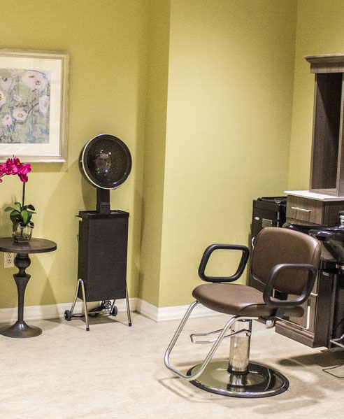 SNF_Salon_tigmba2